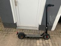 Elektro Roller/ Scooter zu verkaufen Sachsen-Anhalt - Möckern Vorschau