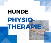 Hunde Physiotherapie Nordrhein-Westfalen - Viersen Vorschau