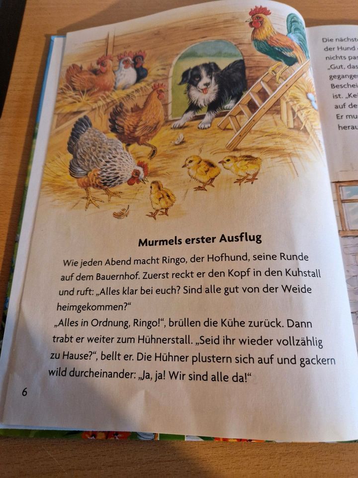 Buch "Die schönsten Tiergeschichten" in Oberstenfeld