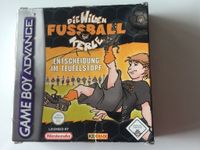 Nintendo Gameboy Advance Spiel "Die wilden Kerle" +OVP+Anleitung Baden-Württemberg - Ulm Vorschau