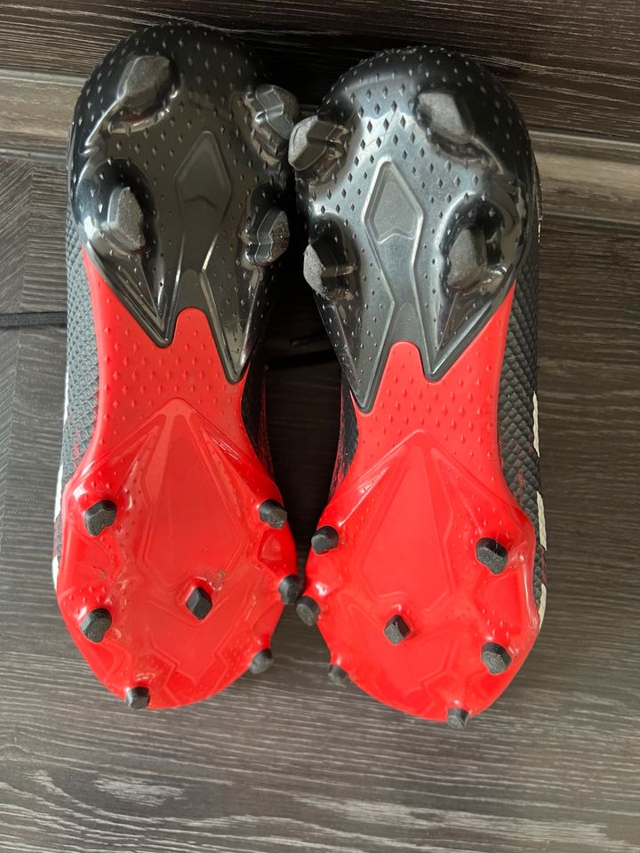 adidas Predator 20.3 Fussballschuhe Gr. 40 in Augustdorf