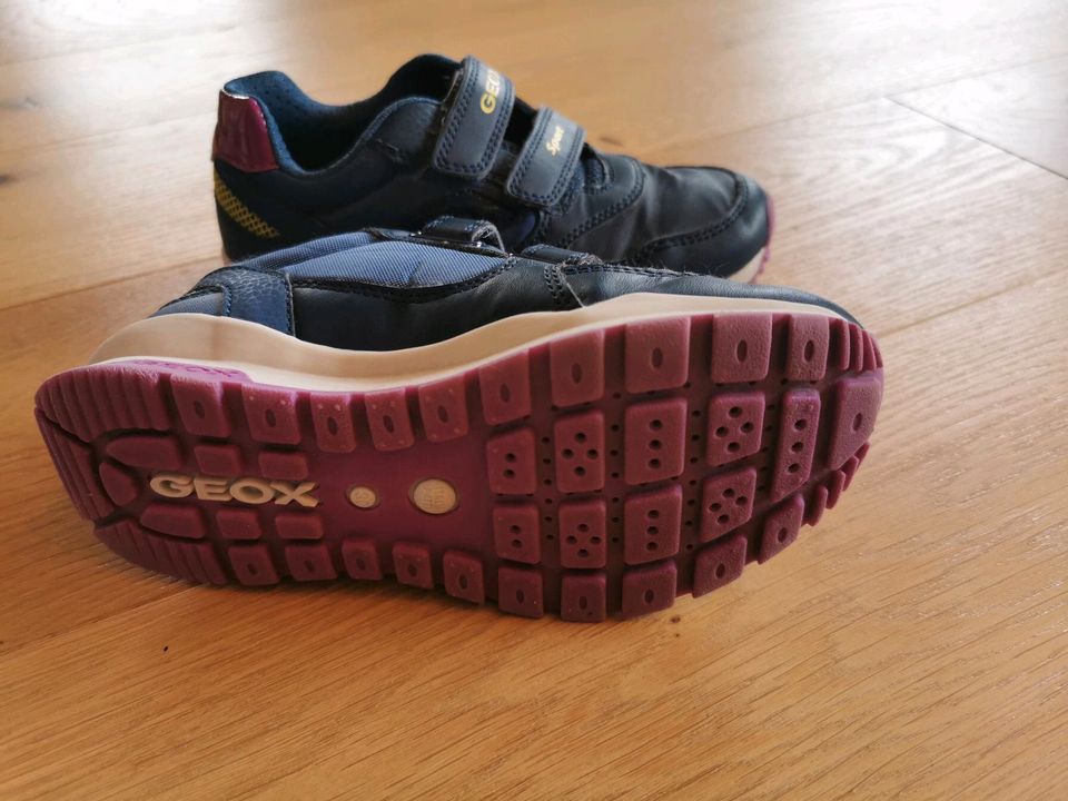 Geox Sportschuhe in Weibern