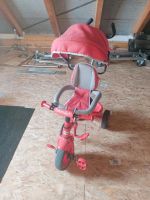 Kindertrike Brandenburg - Röderland Vorschau