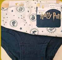 Harry Potter Wizarding World Unterwäsche Unterhose 2er Set Gr 170 Dortmund - Mengede Vorschau