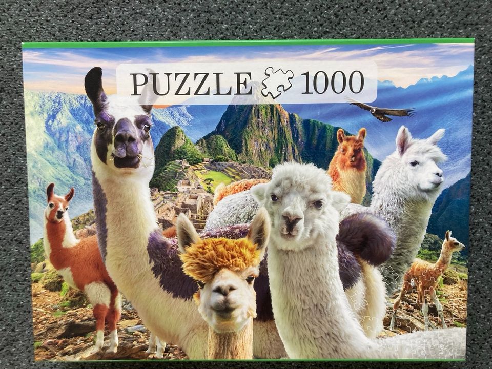 Puzzle Alpaka Lama in Flein