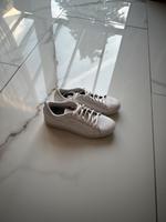 Puma Schuhe Gr 36 Nordrhein-Westfalen - Gelsenkirchen Vorschau