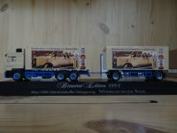 Herpa LKW - Wieselburger Steyr Vitrinenmodell Hessen - Eschwege Vorschau