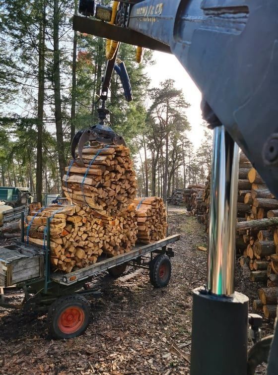 Spanngurte Zurrgurte zum Brennholz bündeln 100 stück in Eberdingen