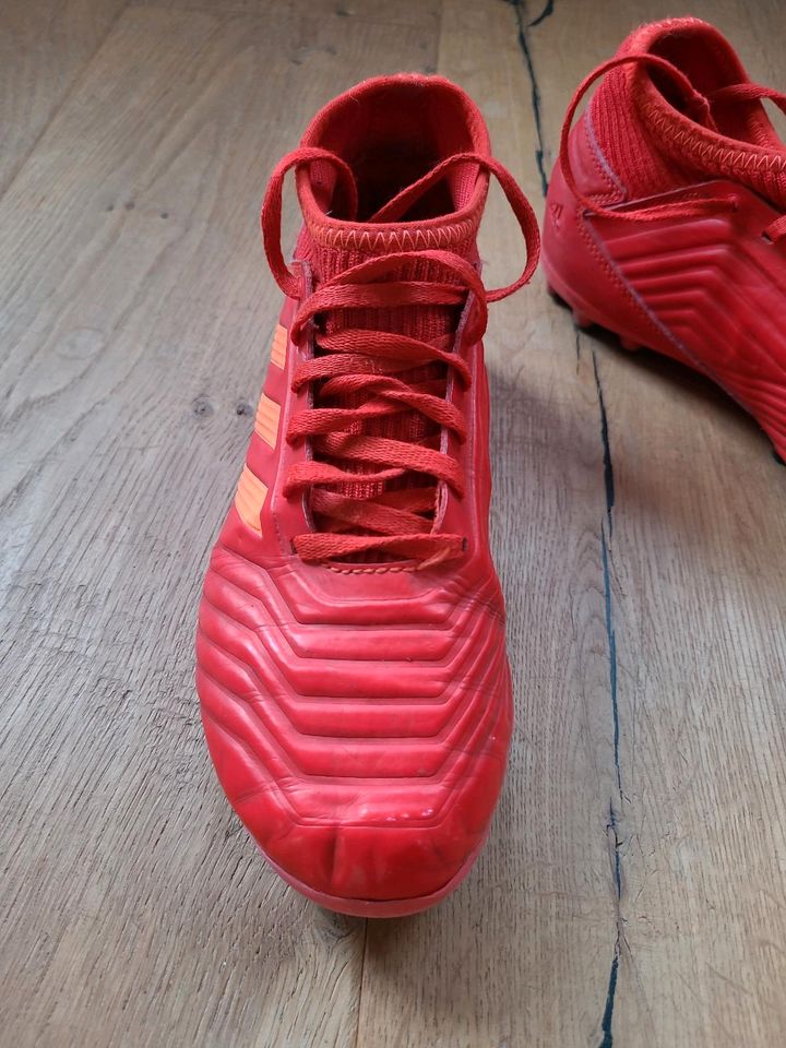 Adidas Predator Fußballschuhe Größe 34 in Schweich