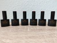 6x Jolifin Laveni UV-Nagellack Shellac Sachsen-Anhalt - Magdeburg Vorschau