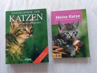 Neuwertig! Fachbücher: Katzen, Rasse, Pflege  und Geschichte Niedersachsen - Winsen (Aller) Vorschau