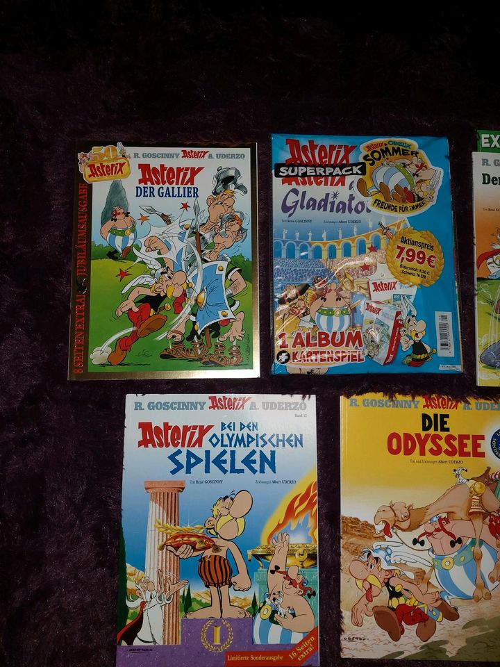 Asterix und Obelix Comics Sonderausgaben in Wegberg