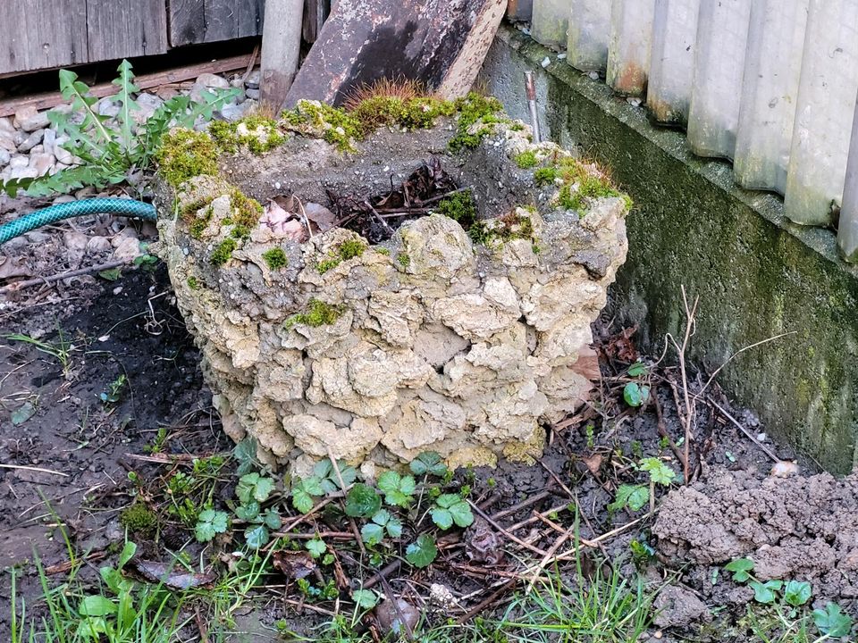 Blumentöpfe Tröge Blumenkästen Steintröge in Haarbach