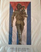 Briefmarken Kuba DDR UDSSR Fidel Castro, Che Guevara , Lenin Rheinland-Pfalz - Langenbach bei Kirburg Vorschau