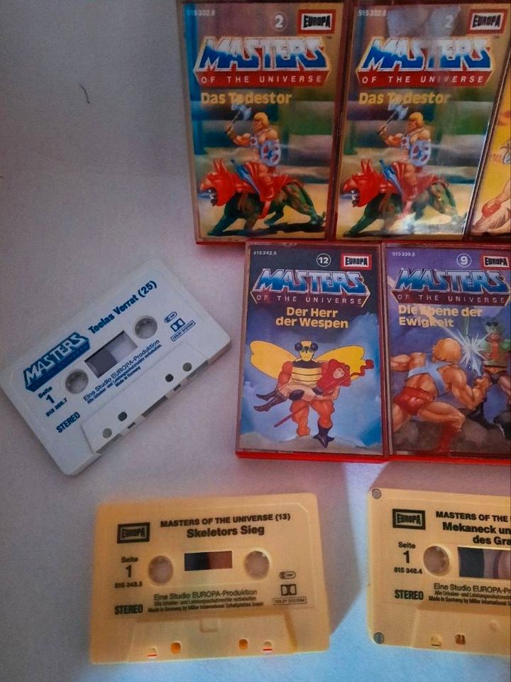 Motu / Masters of the Universe / He- Man Hörspiel in Wetter (Hessen)