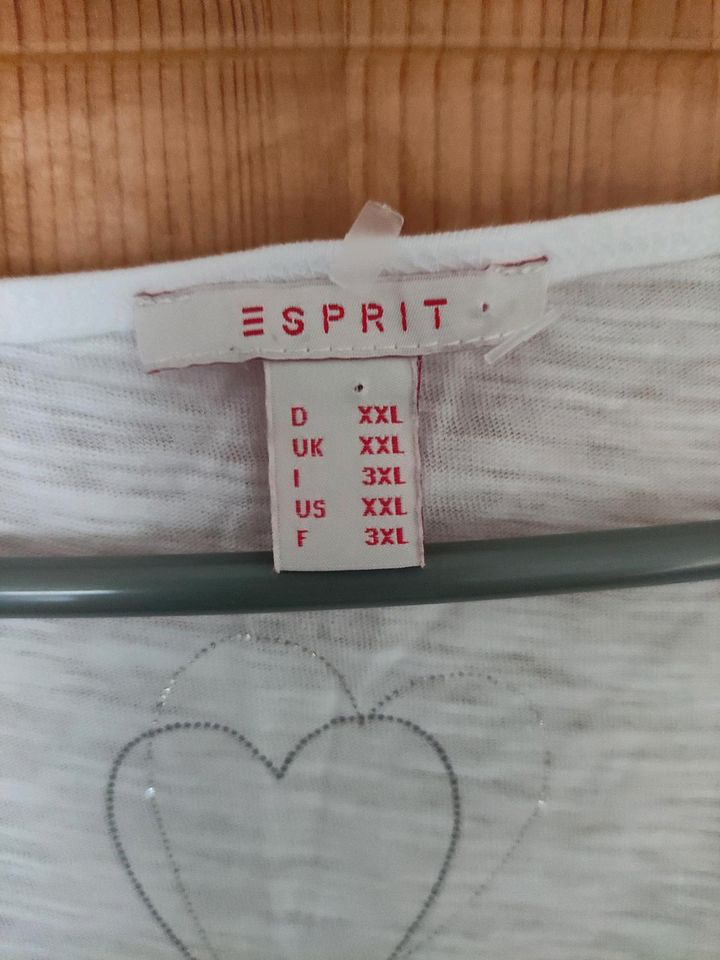 Esprit Top Damen in Königswinter