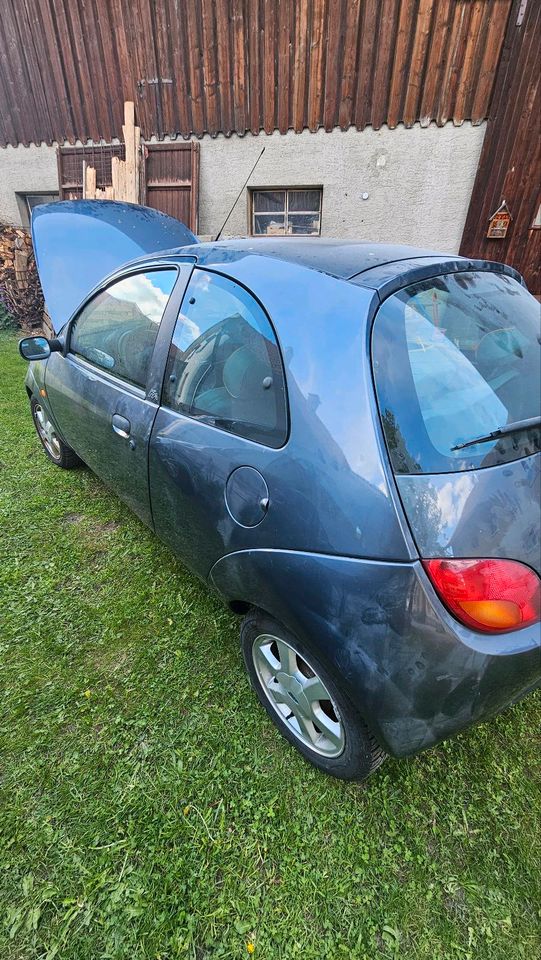 Ford KA * 2008 * Leder * Lufthansa * in Marktoberdorf