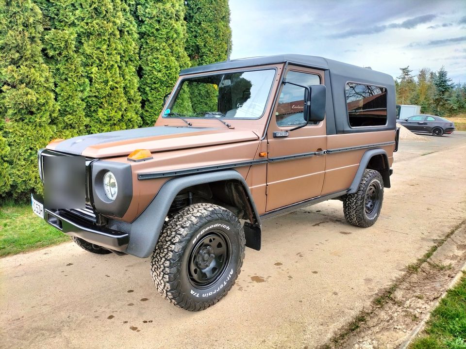 Mercedes Benz Puch GE 230 in Waiblingen