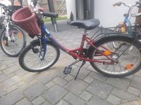 Fahrrad 20 Zoll pegasus Baden-Württemberg - Mühlingen Vorschau