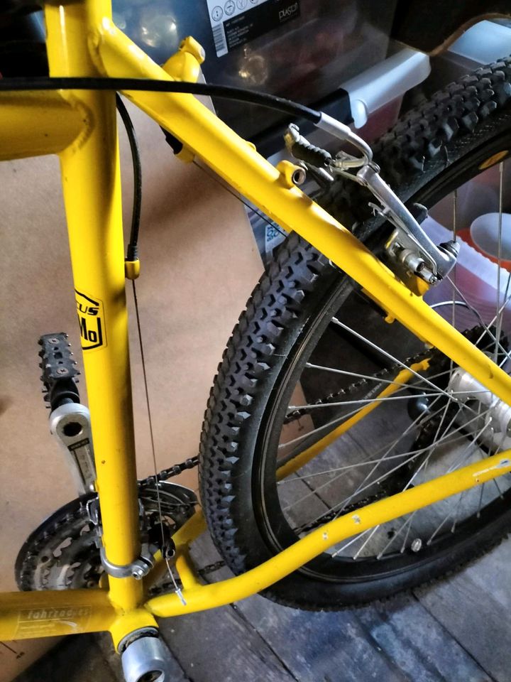 26 Zoll Mountainbike , gelb in Castrop-Rauxel