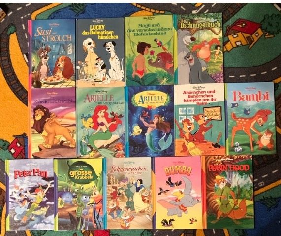 14 Walt Disney Bücher, tolle Zeichnungen! in Baunatal