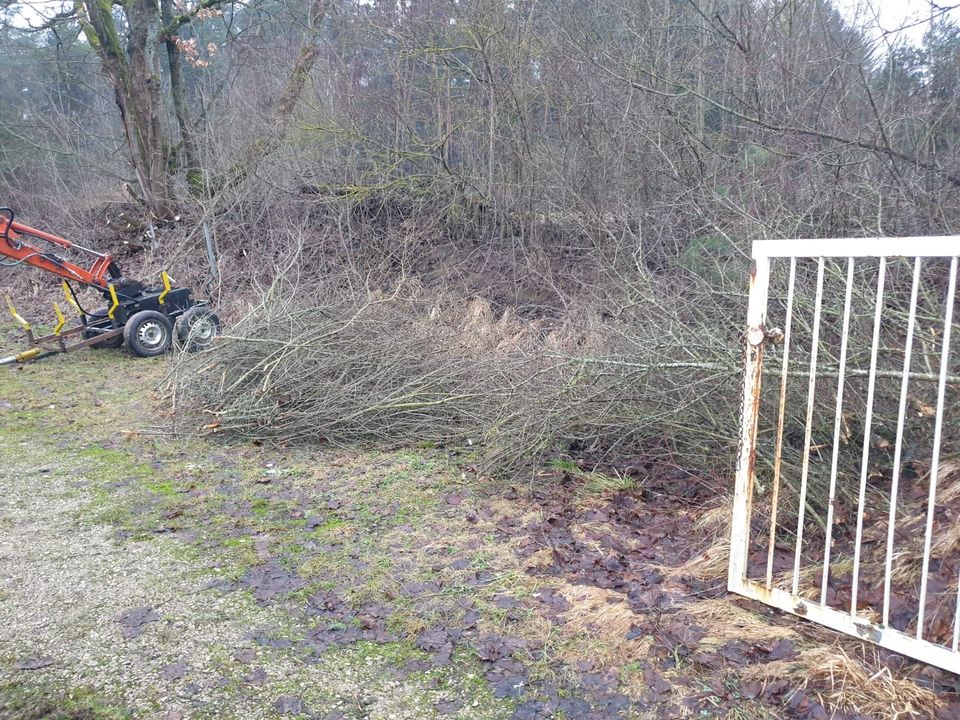 Baumfällung Rodung Heckenpflege in Auerbach in der Oberpfalz