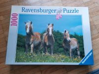 Puzzle 1000 Teile: 3 Haflinger Pferde Wiese München - Schwabing-West Vorschau