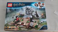 Lego Harry Potter 75965 Rheinland-Pfalz - Neuhofen Vorschau