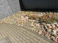 Steine zu verschenken Bad Doberan - Landkreis - Kröpelin Vorschau