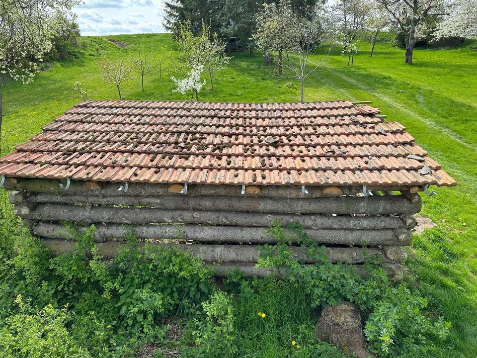 Dachziegeln für Hochbeet oder Holzunterstand etc. in Witzenhausen