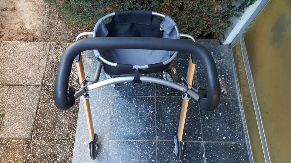 Indoor Rollator Trust Care Gehhilfe für Innenbereich Wohnung in Alfter