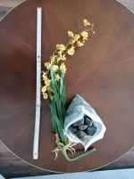 Deko Orchidee und Steine für Vasen, Gefäße, Gläser Eimsbüttel - Hamburg Eidelstedt Vorschau