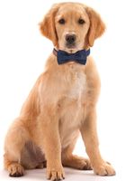 NEU!!! Hunde Fliege Dog Bow tie Weihnachten Party "verschiedene" Nordrhein-Westfalen - Tönisvorst Vorschau