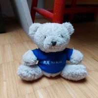 Gefunden: Teddy Bär TUI Blue Überruhr Essen - Essen-Ruhrhalbinsel Vorschau