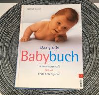 Buch/ NeuDas große Babybuch Schwangerschaft Geburt erste Lebensj. Hamburg - Harburg Vorschau