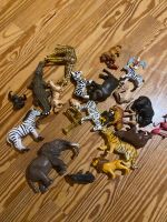 Sammelsurium Savanne Playmobil Schleich und No Name Nordrhein-Westfalen - Rhede Vorschau