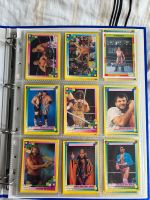 WWE Trading Cards/ Sammelkarten von 1993 & 1995 Berlin - Lichtenberg Vorschau