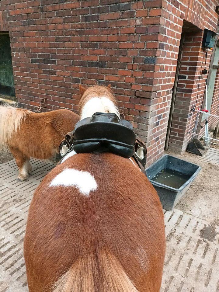 Pony Sattel in Nottuln