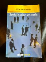 Buch - Sozialisationstheorie Klaus Hurrelmanm Hessen - Hochheim am Main Vorschau