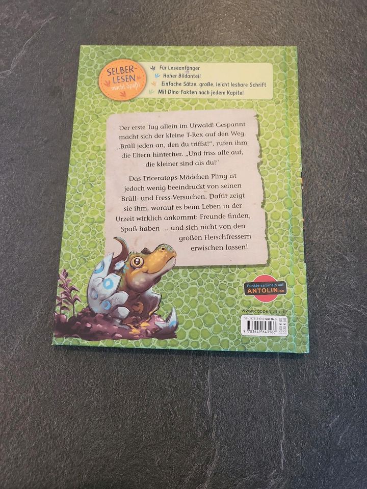 Kinderbuch T-Rex World "Bitte nicht fressen" in Stafstedt