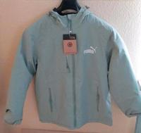 Damenjacke Puma Dresden - Blasewitz Vorschau