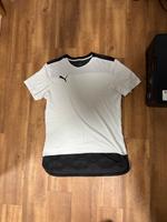 Puma Baumwolle T-Shirt Niedersachsen - Moringen Vorschau