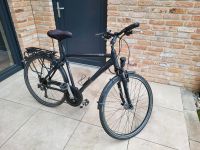 Fahrrad Pegasus Solero Alu Light Rahmen Size 53 Niedersachsen - Emsbüren Vorschau