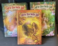 Bücher "Mit der Hexe durchs Jahr" Dresden - Gruna Vorschau