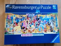 Disney Puzzle 1000 Teile Bielefeld - Stieghorst Vorschau