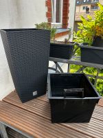 Prosperplast Blumentopf Rato BxTxH: 32x32x61 cm Berlin - Köpenick Vorschau