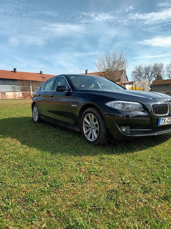 BMW 530i F10 in Chieming