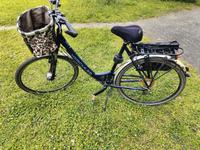 Hercules Bermuda Fahrrad / Damenfahrrad 28 Zoll Hessen - Hochheim am Main Vorschau