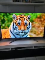 LG OLED Fernsehe 55 Zoll Baden-Württemberg - Bietigheim-Bissingen Vorschau