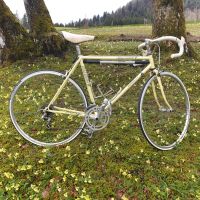 RALEIGH Triathlon Biopace Vintage Rennrad Bayern - Ringsee Vorschau